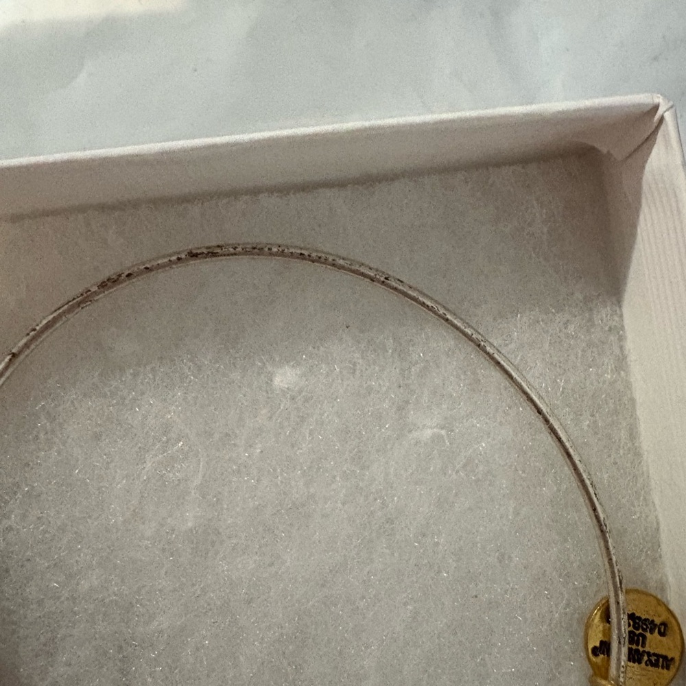 New Alex & Ani initial P silver/gold tone charm bracelet,gift box,some discolor. - Picture 10 of 10